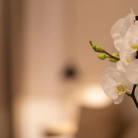 Boutique 32 3* Denia