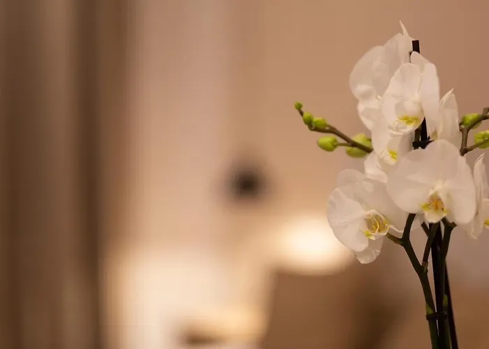 Boutique 32 3* Dénia