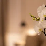 Boutique 32 3* Dénia